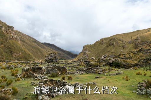 浪晶衛(wèi)浴是幾線品牌,浪金衛(wèi)浴幾線品牌
