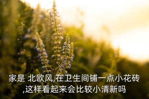 家是 北歐風(fēng),在衛(wèi)生間鋪一點(diǎn)小花磚,這樣看起來會(huì)比較小清新嗎