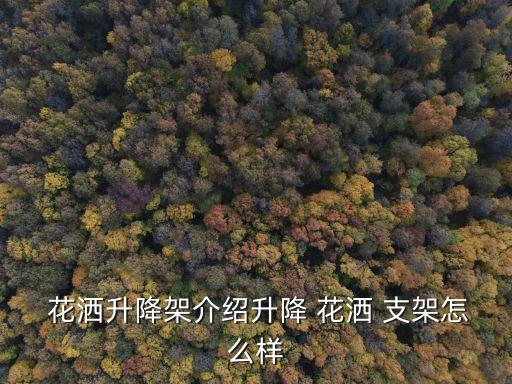 品牌衛(wèi)浴花灑支架推薦平價(jià)