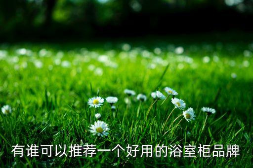 有誰可以推薦一個好用的浴室柜品牌