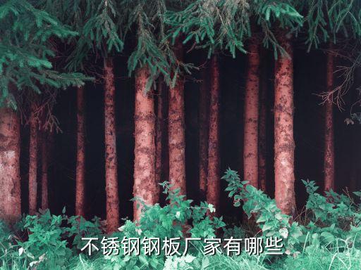  不銹鋼鋼板廠家有哪些
