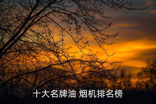 煙機(jī)衛(wèi)浴智能品牌,中國十大智能衛(wèi)浴品牌排行榜