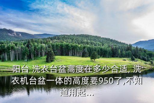 朝陽(yáng)衛(wèi)浴洗衣臺(tái)圖片大全