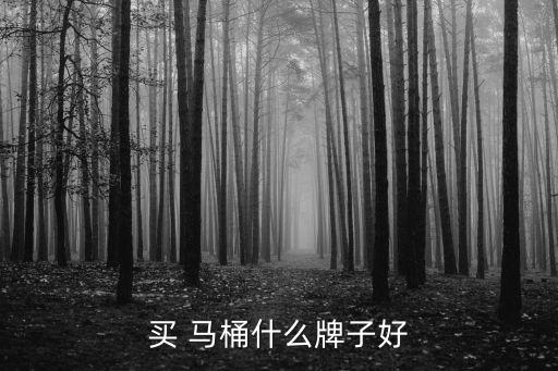 買(mǎi) 馬桶什么牌子好