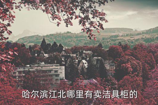  哈爾濱江北哪里有賣潔具柜的
