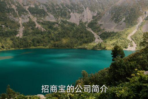  招商寶的公司簡介