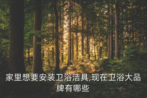 家里想要安裝衛(wèi)浴潔具,現(xiàn)在衛(wèi)浴大品牌有哪些