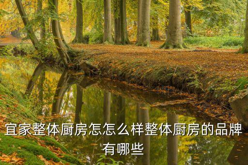 宜家整體廚房怎怎么樣整體廚房的品牌有哪些