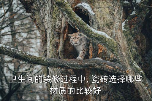 衛(wèi)生間的裝修過(guò)程中, 瓷磚選擇哪些材質(zhì)的比較好