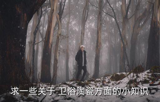 求一些關(guān)于 衛(wèi)浴陶瓷方面的小知識
