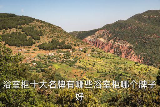 浴室柜十大名牌有哪些浴室柜哪個牌子好