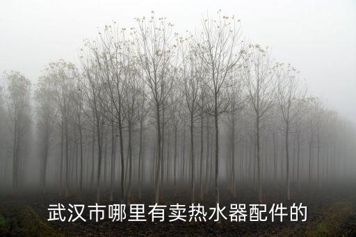 武漢市哪里有賣(mài)熱水器配件的