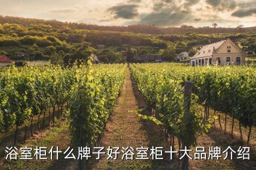 浴室柜什么牌子好浴室柜十大品牌介紹