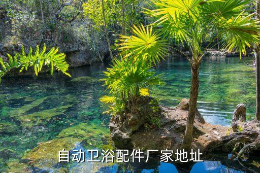 江西自動(dòng)衛(wèi)浴配件廠家地址