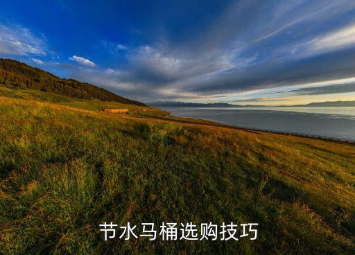  節(jié)水馬桶選購技巧