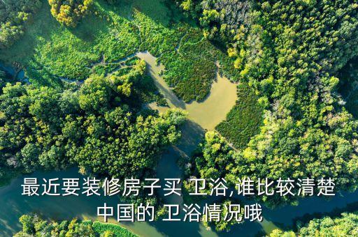 最近要裝修房子買 衛(wèi)浴,誰比較清楚中國的 衛(wèi)浴情況哦