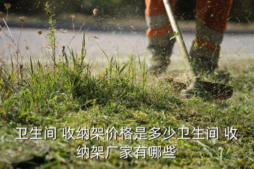 衛(wèi)生間 收納架價(jià)格是多少衛(wèi)生間 收納架廠家有哪些