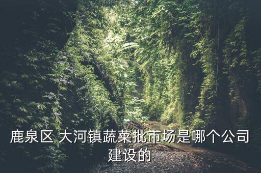 鹿泉區(qū) 大河鎮(zhèn)蔬菜批市場(chǎng)是哪個(gè)公司建設(shè)的