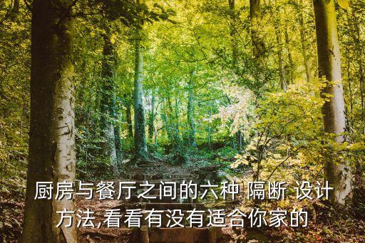  廚房與餐廳之間的六種 隔斷 設計方法,看看有沒有適合你家的