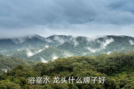 浴室水 龍頭什么牌子好