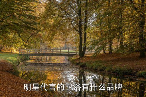 明星代言的衛(wèi)浴有什么品牌