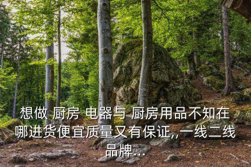 想做 廚房 電器與 廚房用品不知在哪進貨便宜質(zhì)量又有保證,,一線二線品牌...