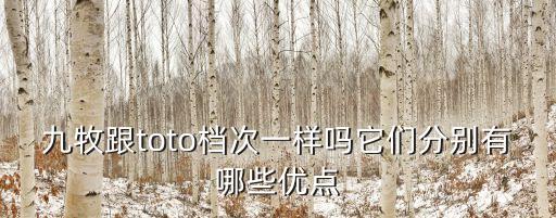 泉州九牧衛(wèi)浴高空拍攝圖片