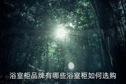 浴室柜品牌有哪些浴室柜如何選購