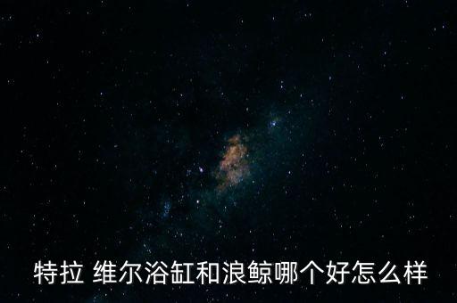 特拉維爾衛(wèi)浴是國外品牌嗎