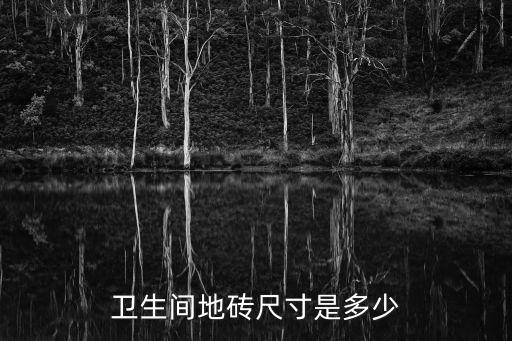 瓷磚衛(wèi)浴展廳效果圖片,蒙娜麗莎瓷磚展廳圖片