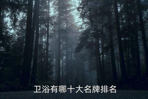  衛(wèi)浴有哪十大名牌排名