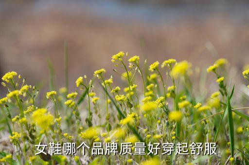 衛(wèi)浴品牌女鞋休閑,休閑女鞋品牌排行榜前十名