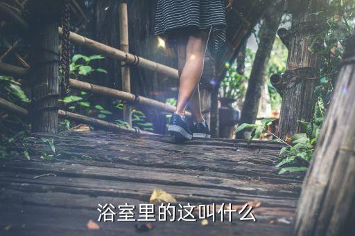 衛(wèi)浴管道接口圖片大全大圖