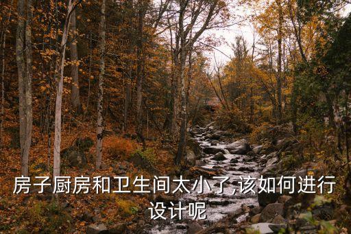 房子廚房和衛(wèi)生間太小了,該如何進(jìn)行 設(shè)計(jì)呢