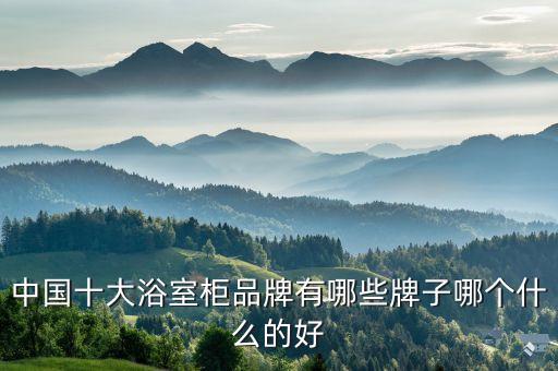 中國(guó)十大浴室柜品牌有哪些牌子哪個(gè)什么的好