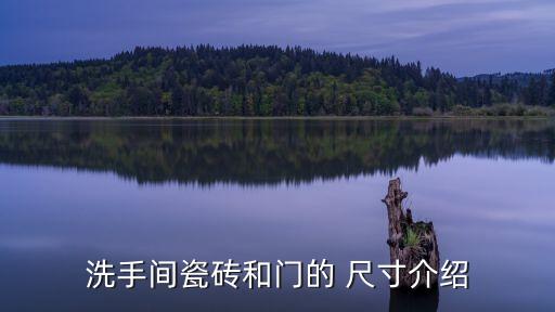 抖音衛(wèi)浴門工藝圖片尺寸