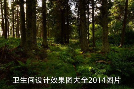 北京衛(wèi)浴圖片有哪些,北京哪些大學(xué)有獨立衛(wèi)浴