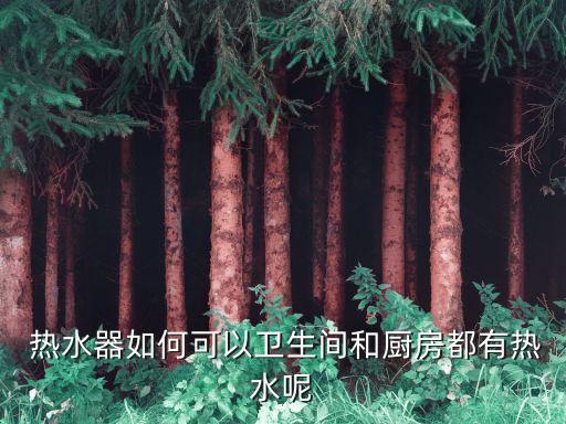  熱水器如何可以衛(wèi)生間和廚房都有熱水呢