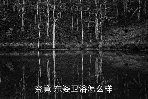 究竟 東姿衛(wèi)浴怎么樣
