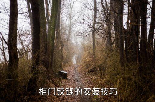  柜門鉸鏈的安裝技巧