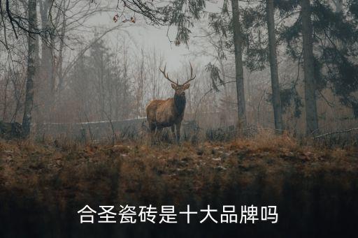 合圣瓷磚是十大品牌嗎