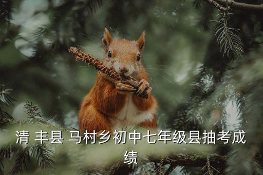 清 豐縣 馬村鄉(xiāng)初中七年級縣抽考成績
