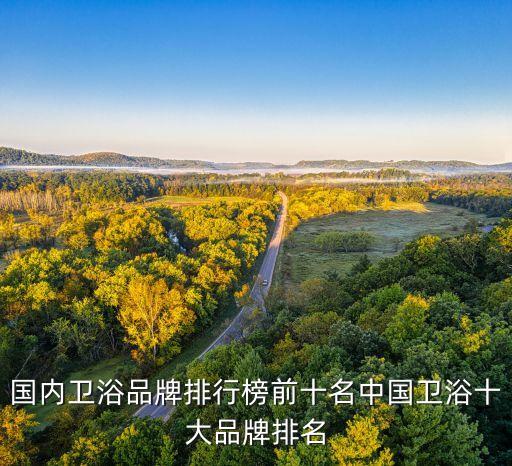 國內(nèi)衛(wèi)浴品牌排行榜前十名中國衛(wèi)浴十大品牌排名