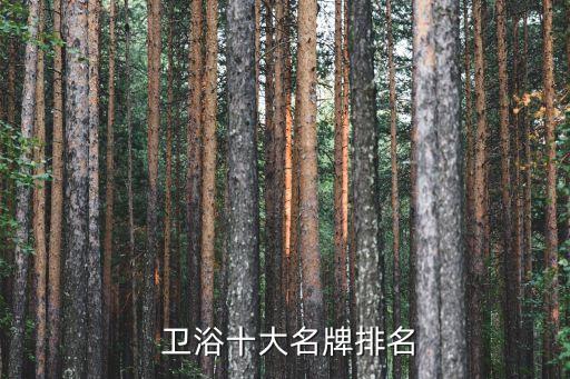  衛(wèi)浴十大名牌排名