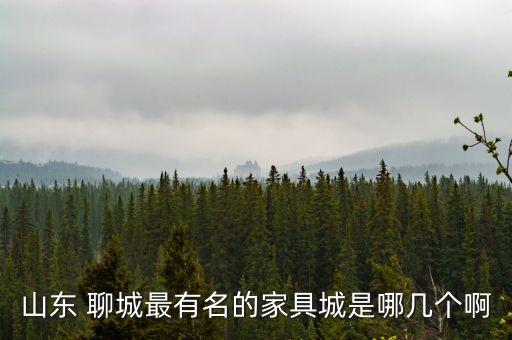 山東 聊城最有名的家具城是哪幾個啊