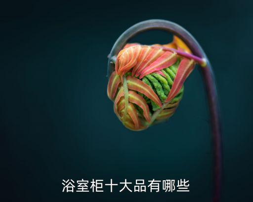 衛(wèi)浴柜品牌陶瓷有哪些種類,陶瓷一體衛(wèi)浴柜品牌好的