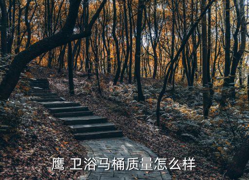 鷹 衛(wèi)浴馬桶質(zhì)量怎么樣