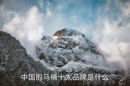 中國的馬桶十大品牌是什么