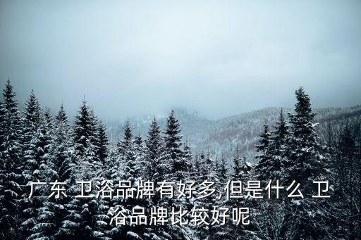 廣東 衛(wèi)浴品牌有好多,但是什么 衛(wèi)浴品牌比較好呢