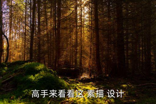 高手來(lái)看看這 素描 設(shè)計(jì)